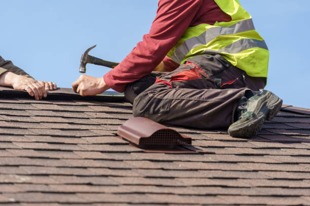 Best Roof Restoration Services  in Forestville, OH