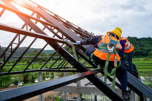 Best Metal Roofing Contractor  in Forestville, OH