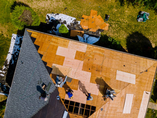 Best Local Roofing Companies  in Forestville, OH