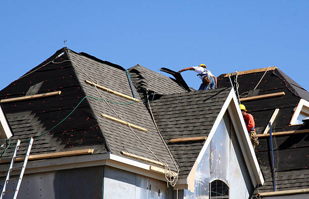 Best Flat Roof Repair Services  in Forestville, OH