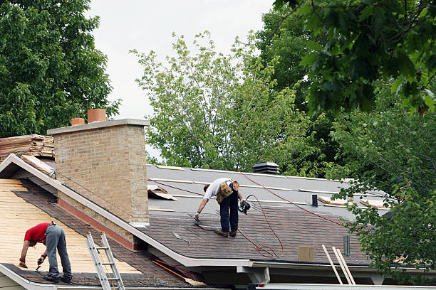 Best New Roof Installation  in Forestville, OH