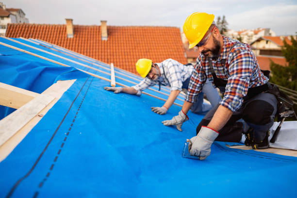 Best Roof Maintenance Services  in Forestville, OH
