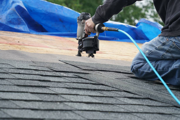 Best Roof Repair Services  in Forestville, OH