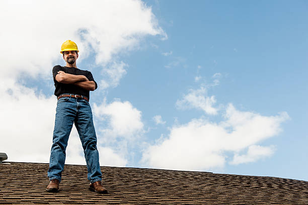 Best Roof Maintenance Services  in Forestville, OH
