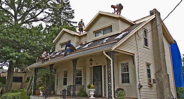 Best Gutter Installation and Roofing  in Forestville, OH