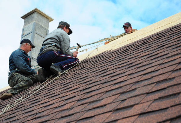 Roof Repair Estimates in Forestville, OH