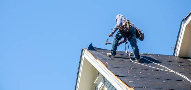 Best Storm Damage Roof Repair  in Forestville, OH